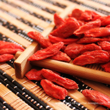 Ningxia Goji Berry Exportador